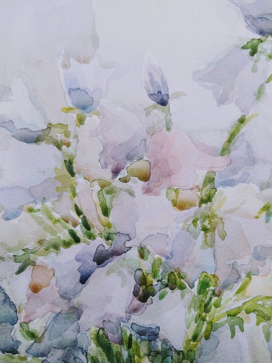 Bluebells flowers. Original watercolour painting.