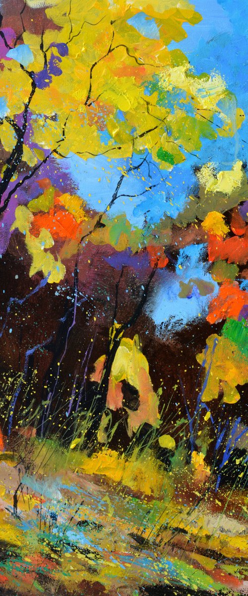 Autumn rich colours by Pol Henry Ledent