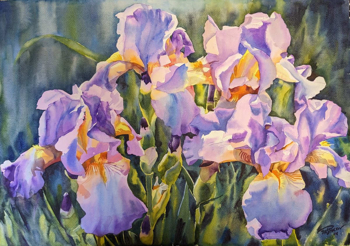 PINK IRISES#4 by Yurii Pashkov