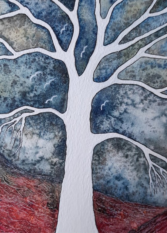 Quiet Calmness + Light in the Storminess