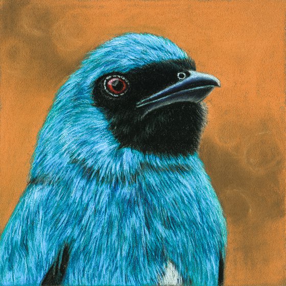 Original diptych pastel drawing birds "Azure portraits"