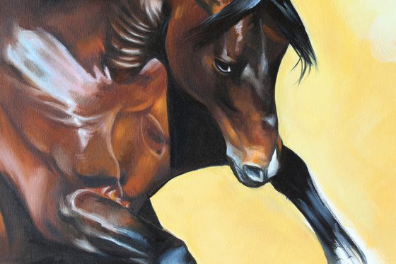 Brown horse running