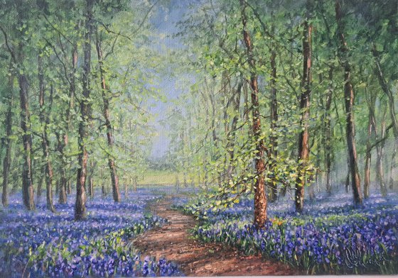A Walk In The Bluebell Woods