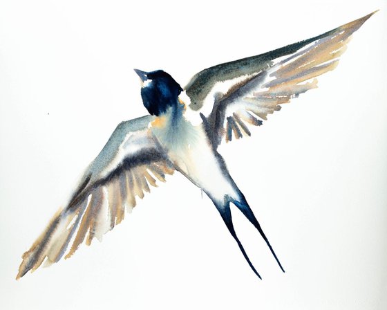 Swallow No. 19