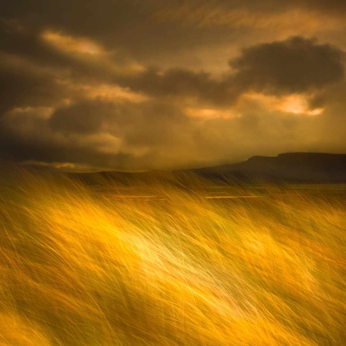 Abstract Landscape Photograph By Lynne Douglas, 60 X 60", The Land I Love, Skye, Original Artwork