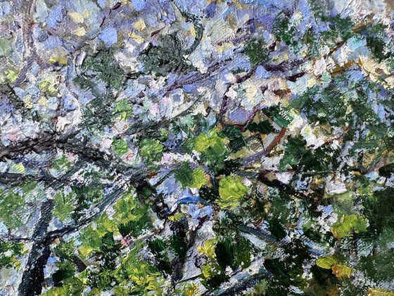 Apple Trees in Tetritskaro