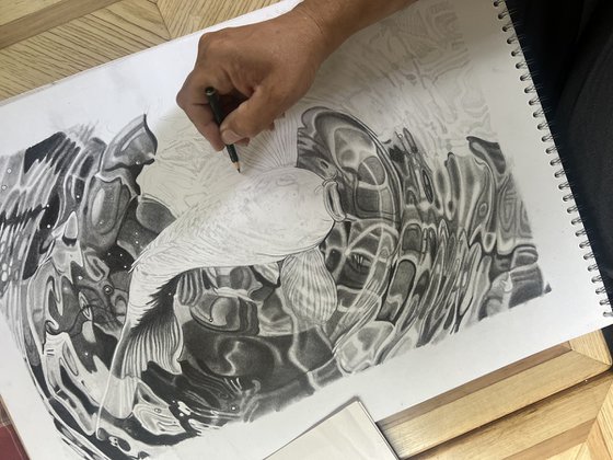 Koi Carp Pencil Drawing III