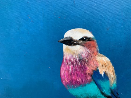 Lilac Breasted Roller ~ Under An African Sky