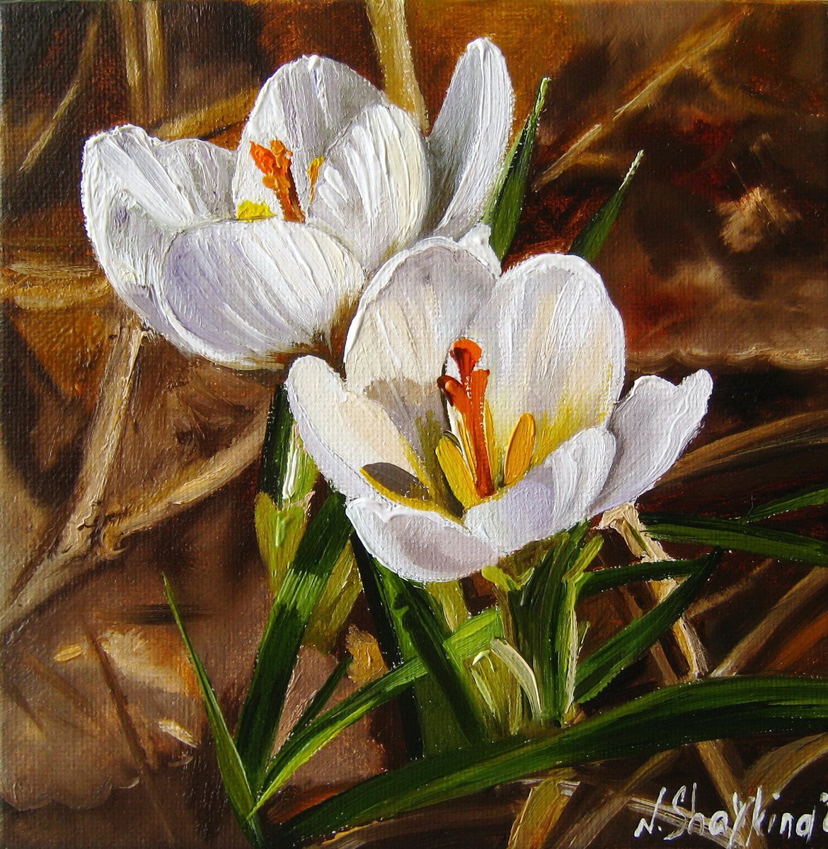 Impressionistic Landscape Oil Painting By Natalia Shaykina, 6 X 6", Spring Again, White Crocuses, Original Artwork
