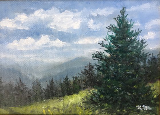 MOUNTAIN PINE - oil 5X7 (SOLD)