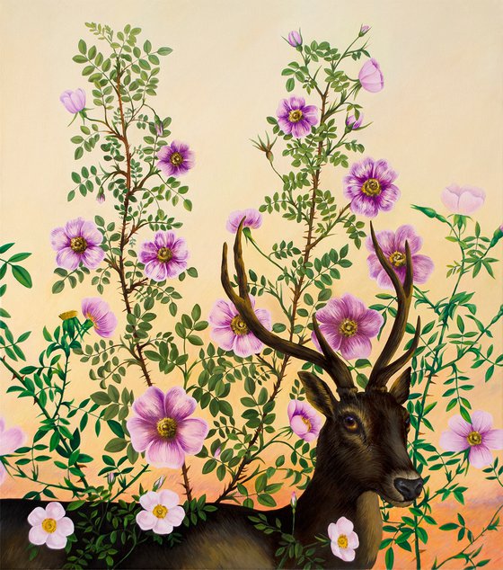 Deer in the dog-rose