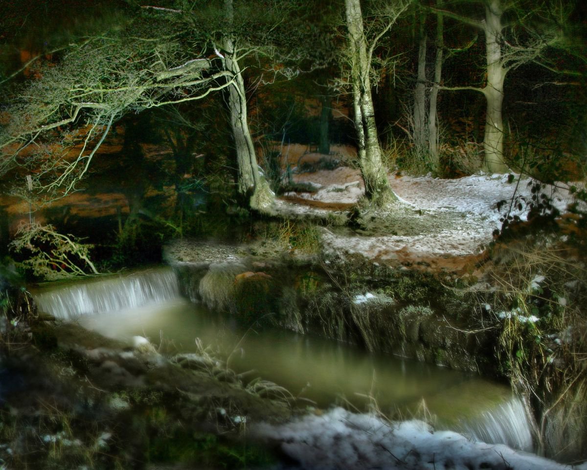 Shining Cliff Woods Photograph by Roger Artfinder