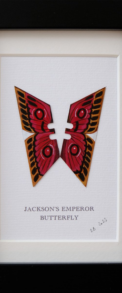 Jackson's Emperor Butterfly by Lene Bladbjerg