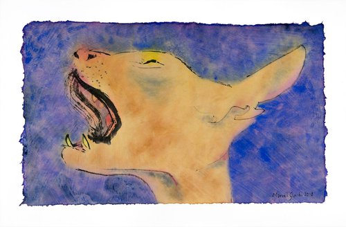Sphinx cat yawning by Marcel Garbi