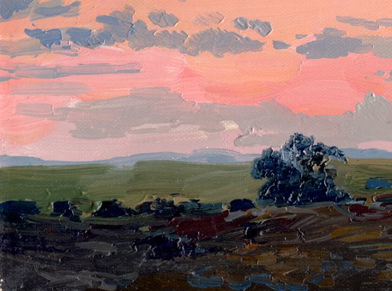 Sunset. Russian field