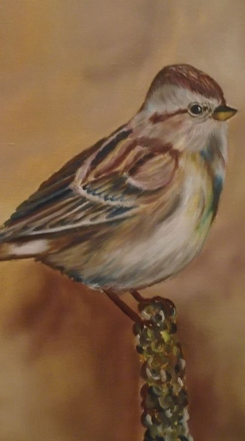 Little Sparrow by Timea  Valsami