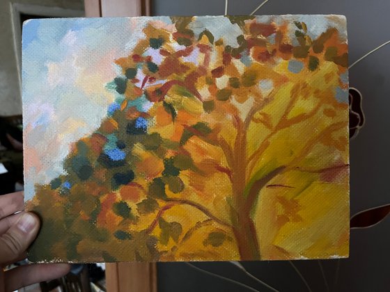 Indian Summer tree Ukrainian oil painting