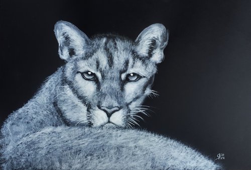 Puma... / FROM THE ANIMAL PORTRAITS SERIES / ORIGINAL PAINTING by Salana Art Gallery