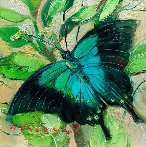 Blue Ulysses butterfly painting oil original green background small artwork in frame