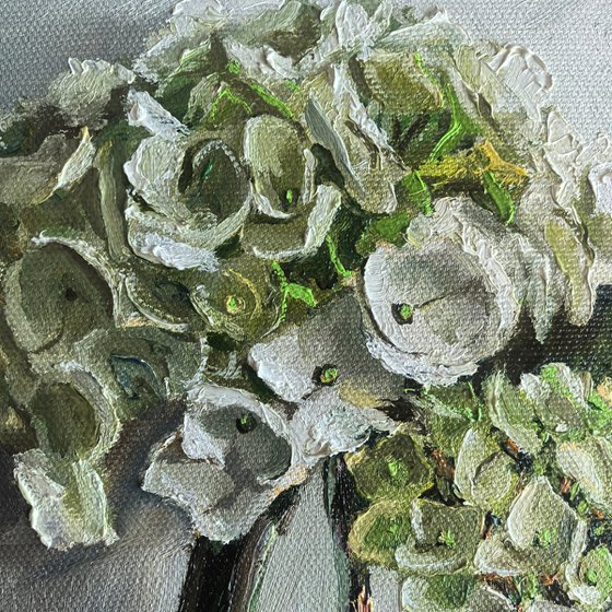 White hydrangea flower