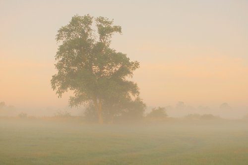 foggy landscape 6 by Jochim Lichtenberger