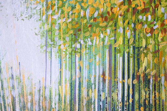 Light Through Autumn Trees