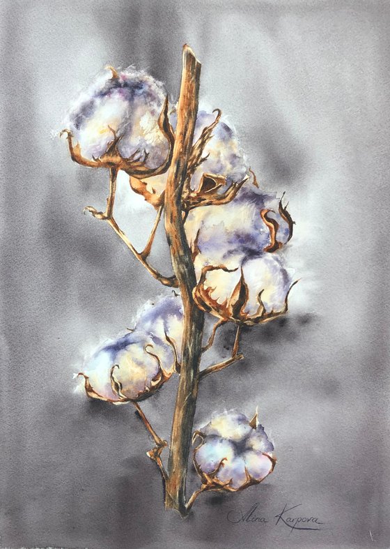 Cotton stem