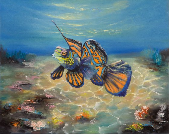 Mandarinfish