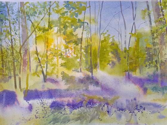 Bluebells at Oldmoor Wood I