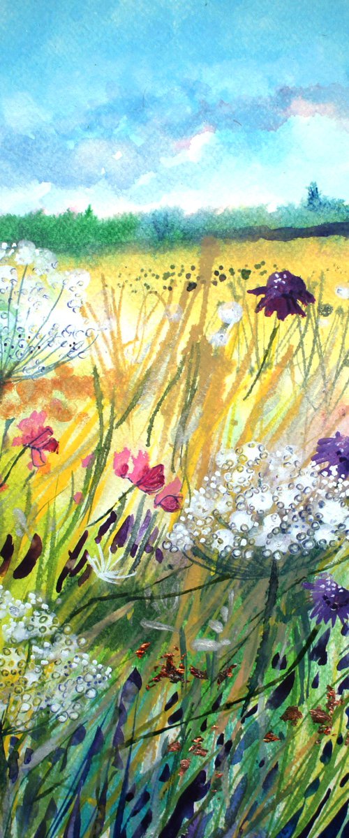 Scabious in the Wild Meadow by Julia  Rigby