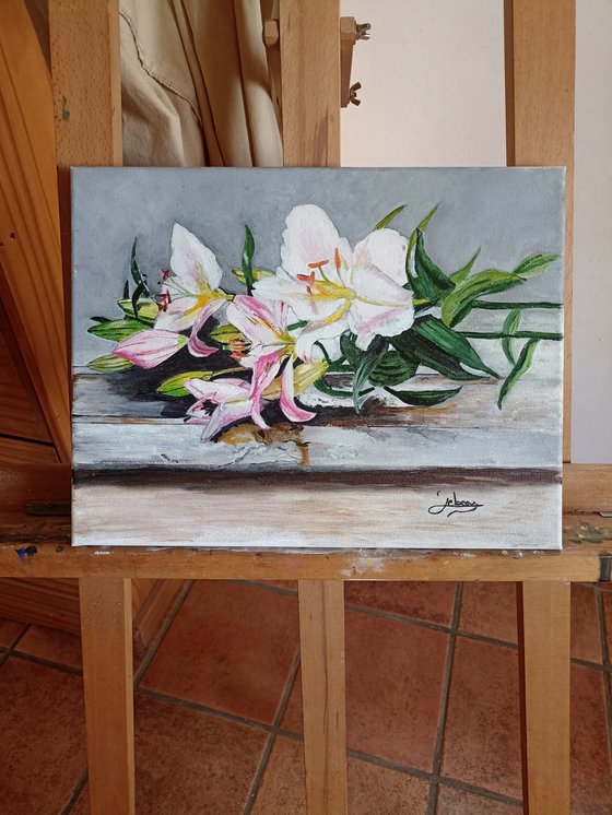 White lily