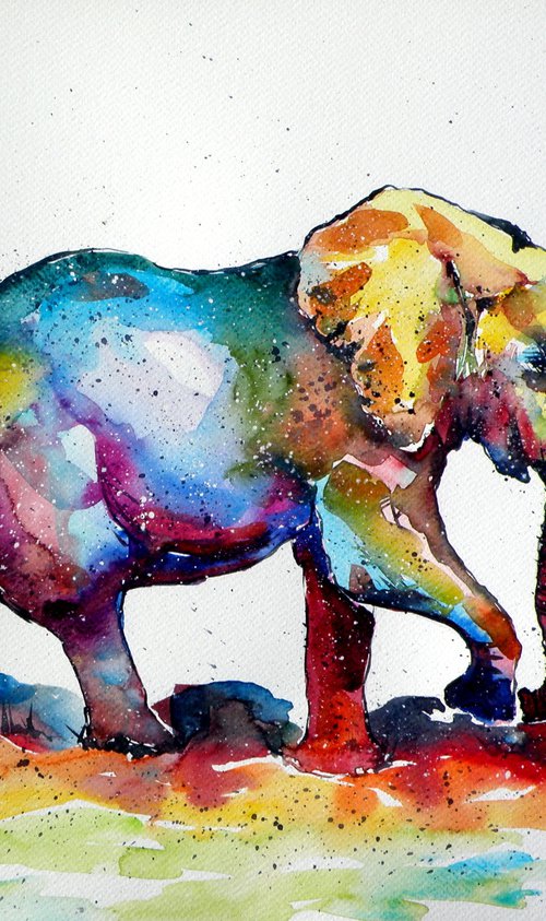 Colorful elephant V. by Kovács Anna Brigitta