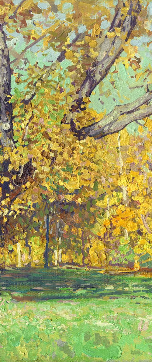 Oak tree in Tsaritsyno in October by Simon Kozhin