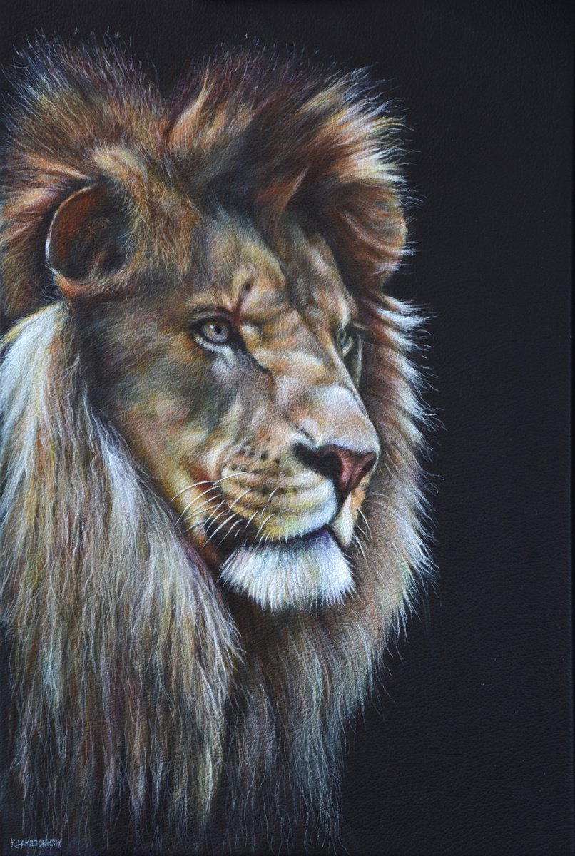 Lion Portrait by Karl Hamilton-Cox