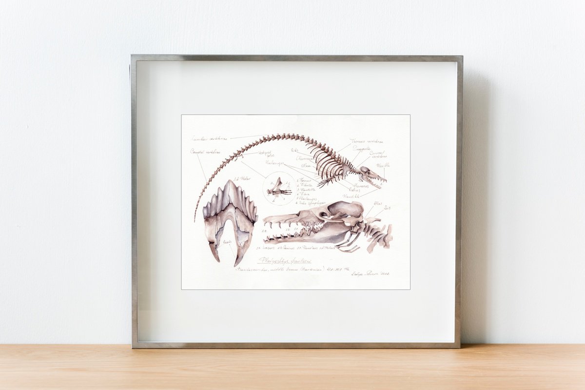 Illustrative Animal Watercolour By Katya Shiova, 17 X 12", Platyosphys Paulsoni, Basilosaurus From Ukraine, Original Artwork