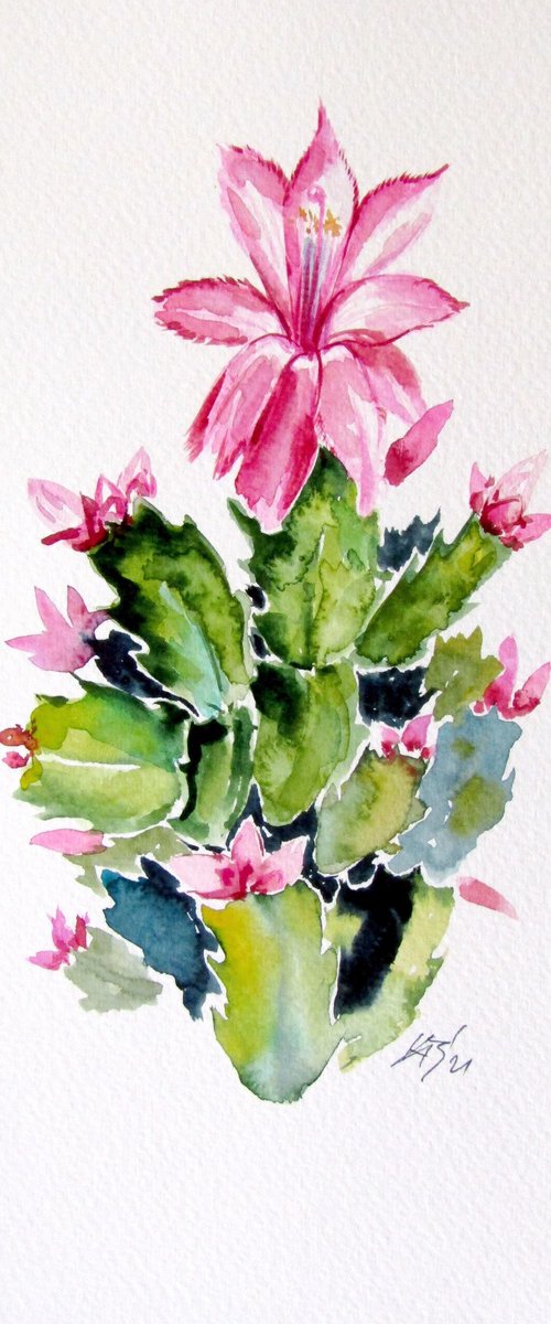 Christmas cactus by Kovács Anna Brigitta