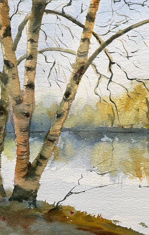 Trees with eyes by Shelly Du