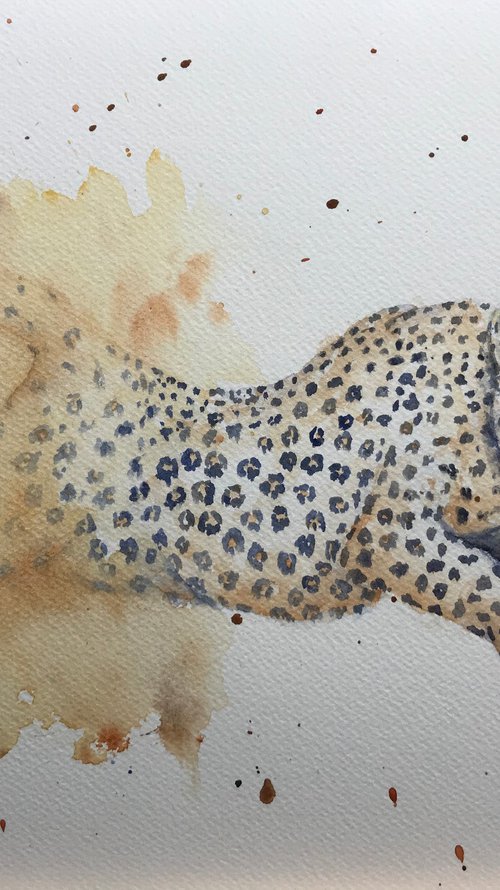 Commission - 6 piece wildlife art by Sabrina’s Art