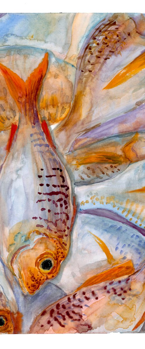 Fishes watercolor painting - Animal wall art - Gift idea for him by Olga Ivanova
