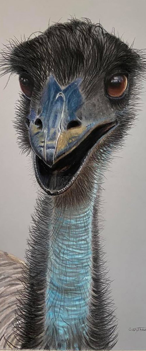 Happy Emu by Gary Thomas