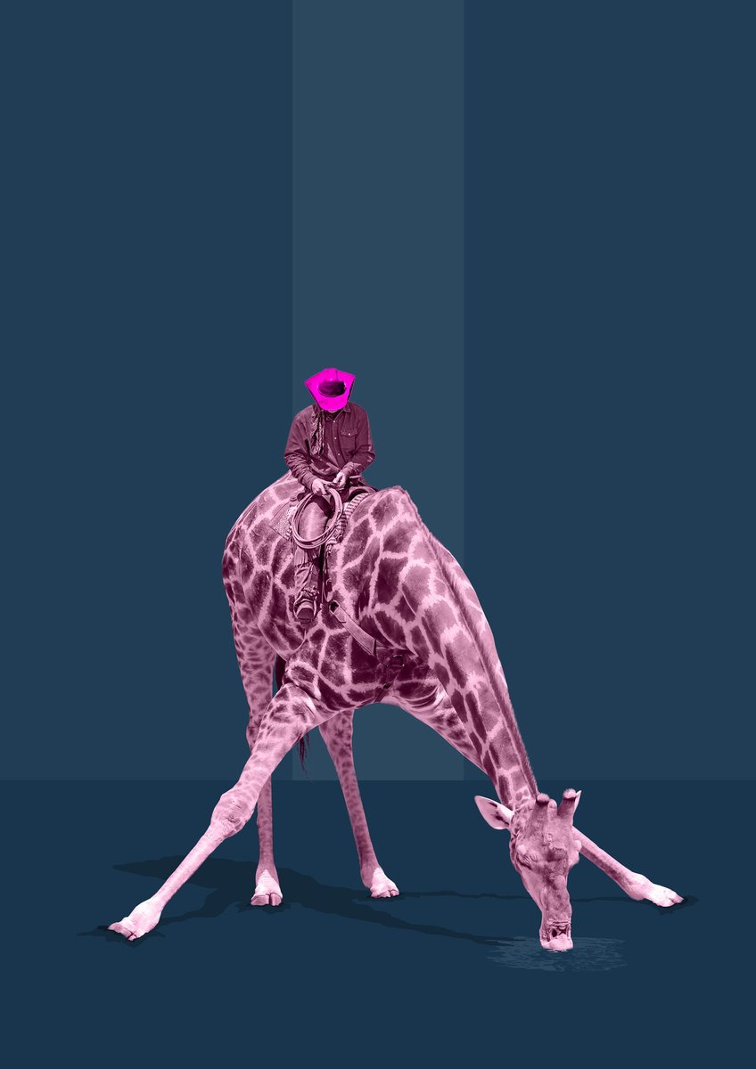 Surrealistic Giclee Print , Giraffe Riding - Pink By Mark Skirving, 13 X 17, Artwork For Sale On Artfinder