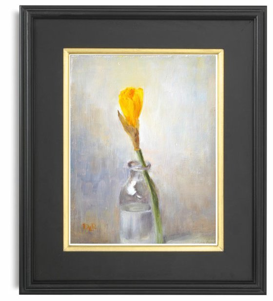 Solitary daffodil
