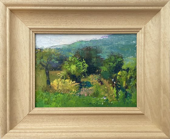 Tuscan allotment