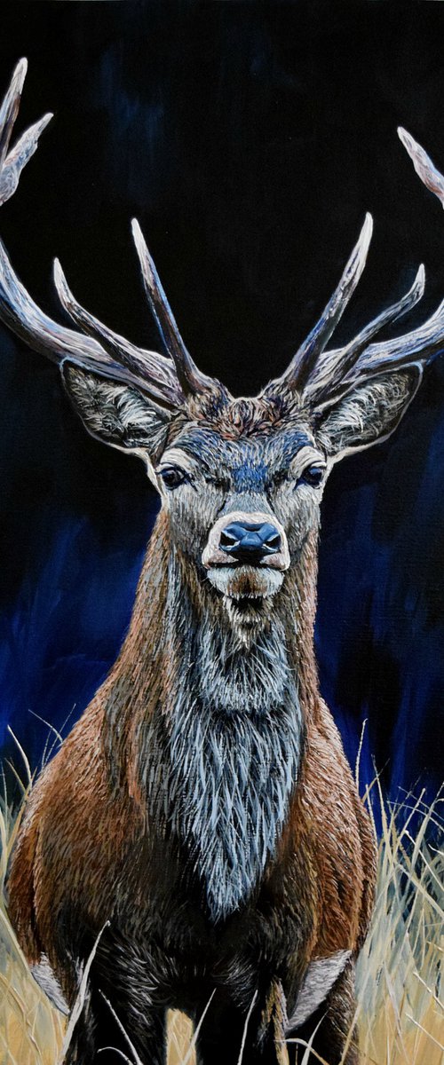 Deer by Elena Adele Dmitrenko