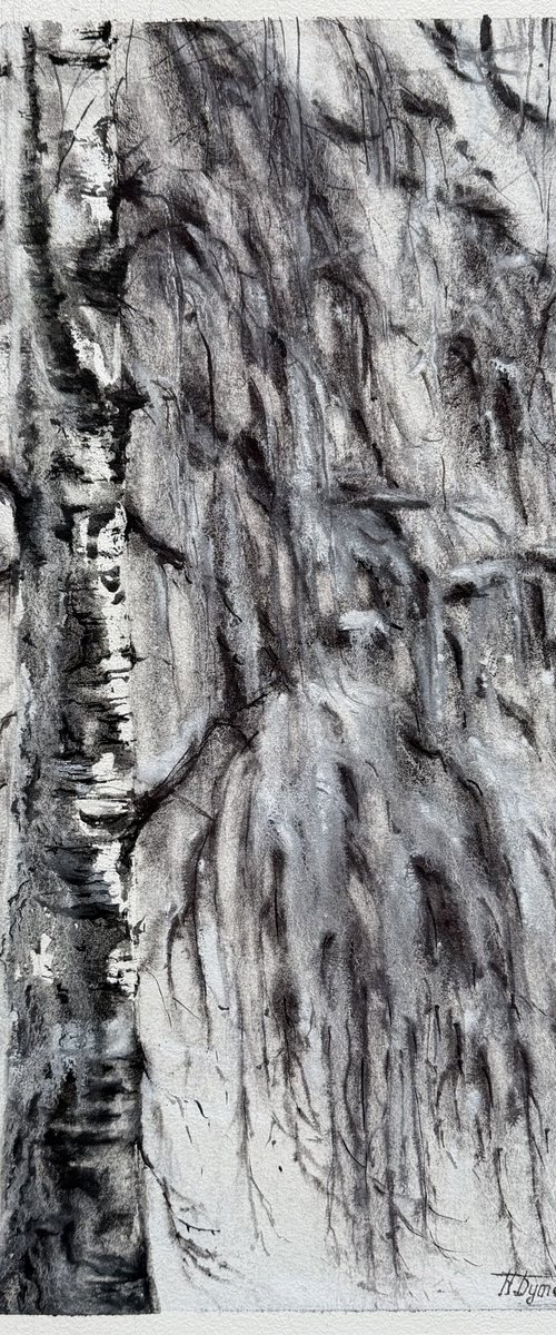 Silence of the Birch Branches by Natalia Butenko