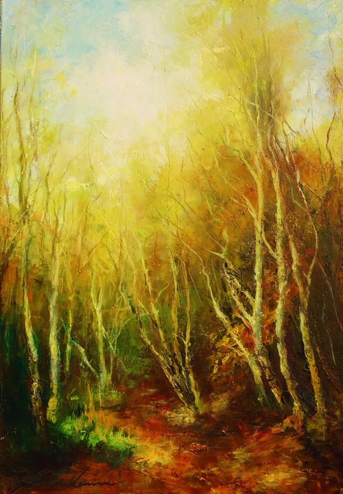 Autumn Light on Birch Trees, Wade Wood , West Yorkshire by Hannah Kerwin