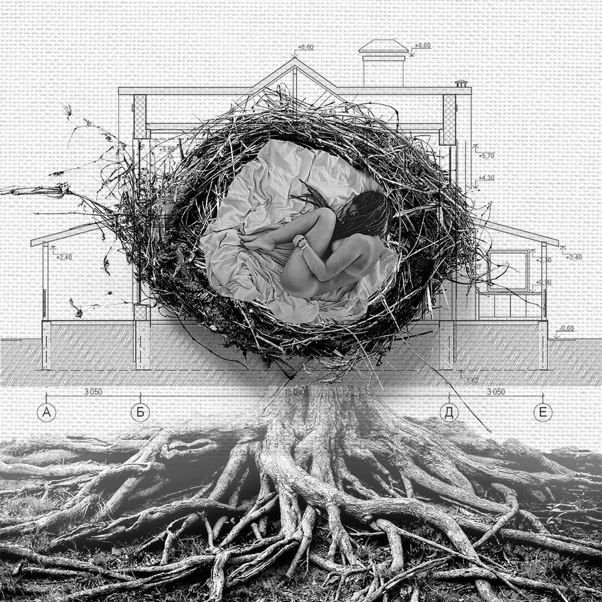 Giclee Print , Roots, Plans And Where I Am By Delnara El, 28 X 28, Artwork For Sale On Artfinder
