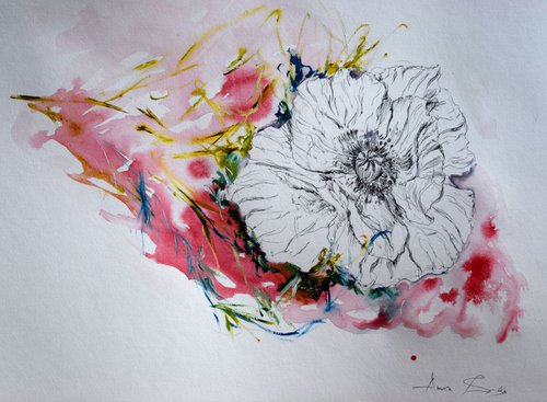 The poppy flower by Anna Sidi-Yacoub
