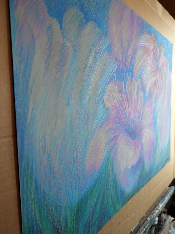 Tulips Purple