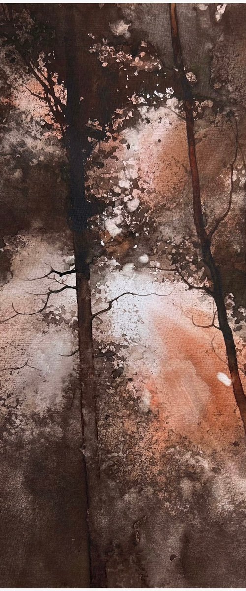 Forest Light by Nazar Grunyka